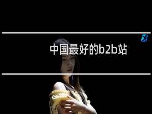 中国最好的b2b站