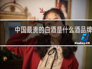 中国最贵的白酒是什么酒品牌