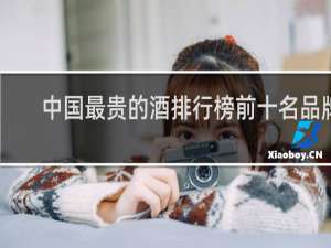 中国最贵的酒排行榜前十名品牌