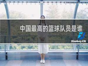 中国最高的篮球队员是谁