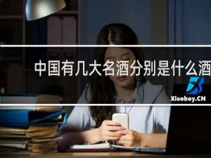 中国有几大名酒分别是什么酒