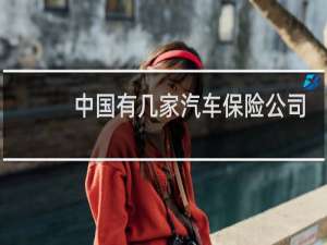 中国有几家汽车保险公司
