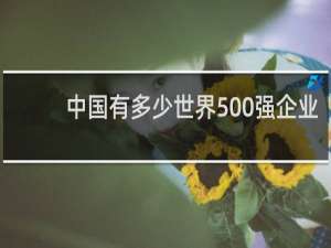 中国有多少世界500强企业