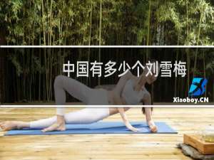 中国有多少个刘雪梅