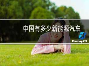 中国有多少新能源汽车