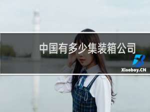 中国有多少集装箱公司