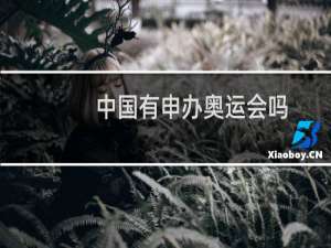 中国有申办奥运会吗