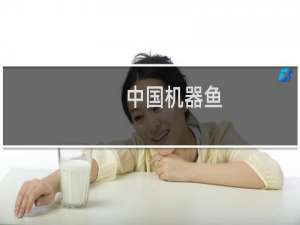 中国机器鱼