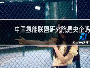 中国氢能联盟研究院是央企吗