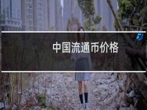 中国流通币价格