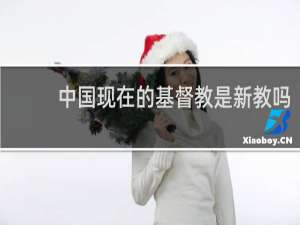 中国现在的基督教是新教吗