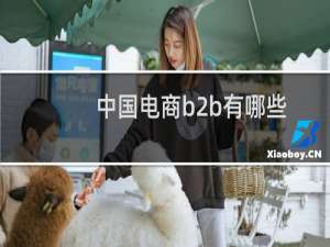 中国电商b2b有哪些