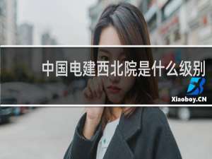 中国电建西北院是什么级别