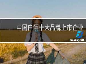 中国白酒十大品牌上市企业