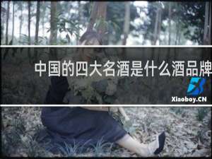 中国的四大名酒是什么酒品牌