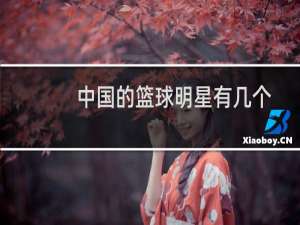 中国的篮球明星有几个