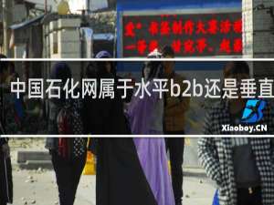 中国石化网属于水平b2b还是垂直b2b