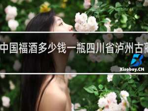 中国福酒多少钱一瓶四川省泸州古蔺生产