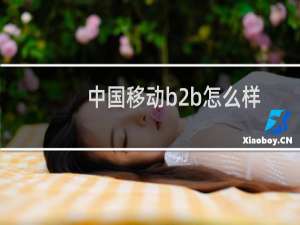 中国移动b2b怎么样