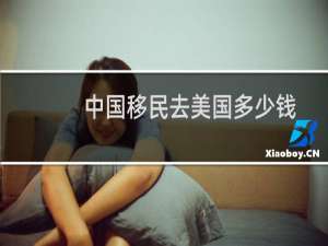 中国移民去美国多少钱