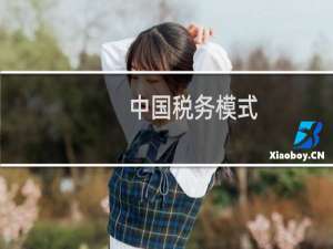 中国税务模式