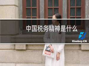 中国税务精神是什么