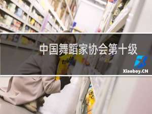 中国舞蹈家协会第十级