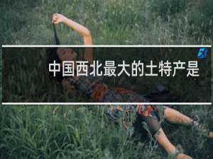 中国西北最大的土特产是