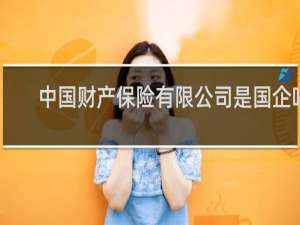 中国财产保险有限公司是国企吗