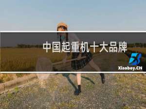 中国起重机十大品牌