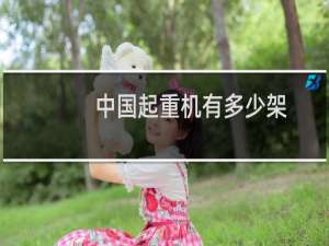 中国起重机有多少架