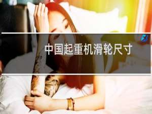 中国起重机滑轮尺寸