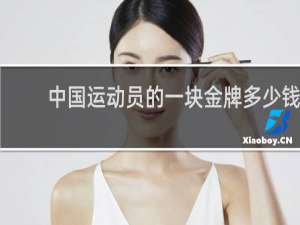 中国运动员的一块金牌多少钱