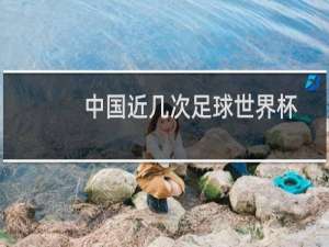 中国近几次足球世界杯