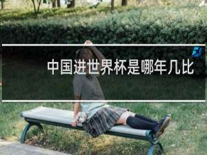 中国进世界杯是哪年几比几