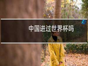 中国进过世界杯吗