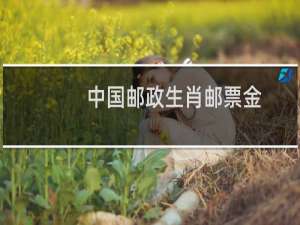 中国邮政生肖邮票金