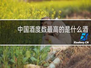 中国酒度数最高的是什么酒