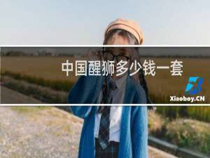 中国醒狮多少钱一套