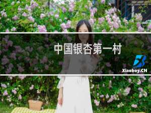 中国银杏第一村