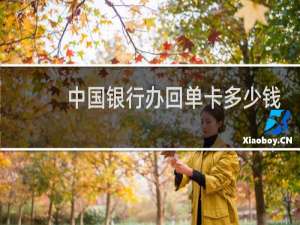 中国银行办回单卡多少钱