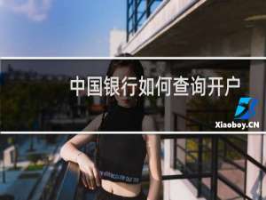 中国银行如何查询开户行网点名称