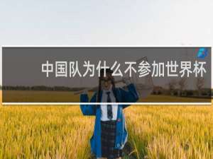 中国队为什么不参加世界杯
