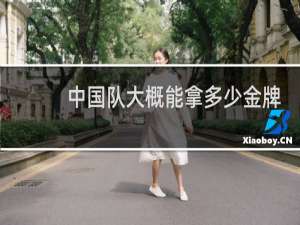 中国队大概能拿多少金牌