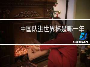 中国队进世界杯是哪一年