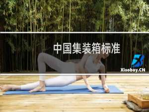 中国集装箱标准