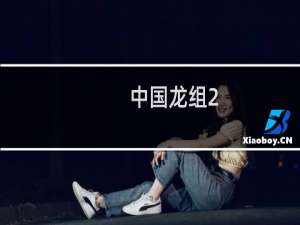 中国龙组2