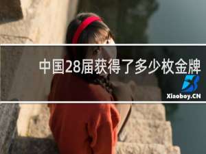中国28届获得了多少枚金牌