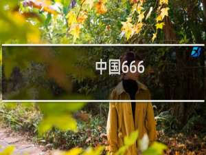 中国666，西方666什么梗