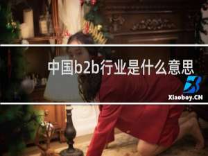 中国b2b行业是什么意思